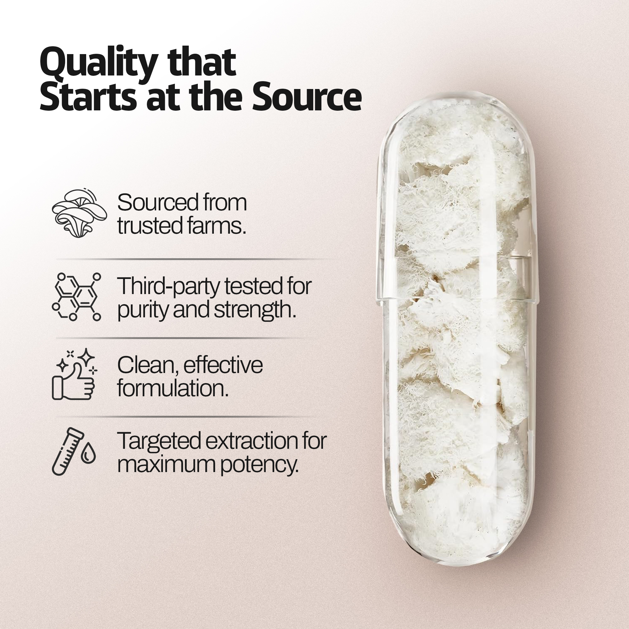 Flat-lay of Lion's Mane capsules and raw botanicals