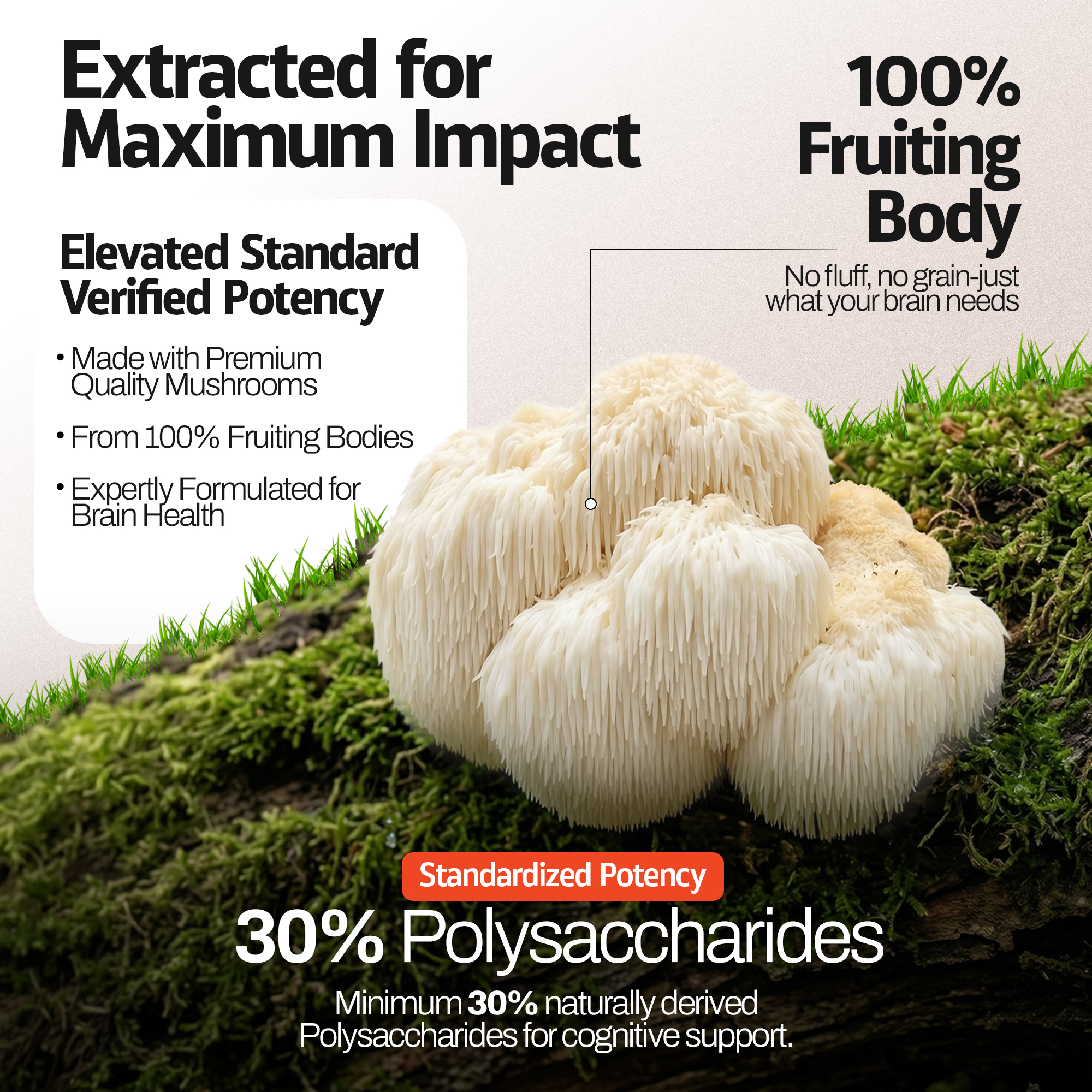 Fresh Lion's Mane Mushroom